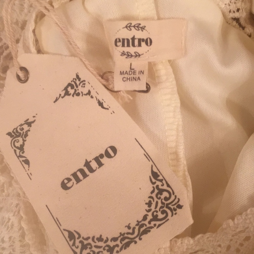 NWT Entro Cream Crochet & Swiss Dot Dress Size L - Picture 6 of 7
